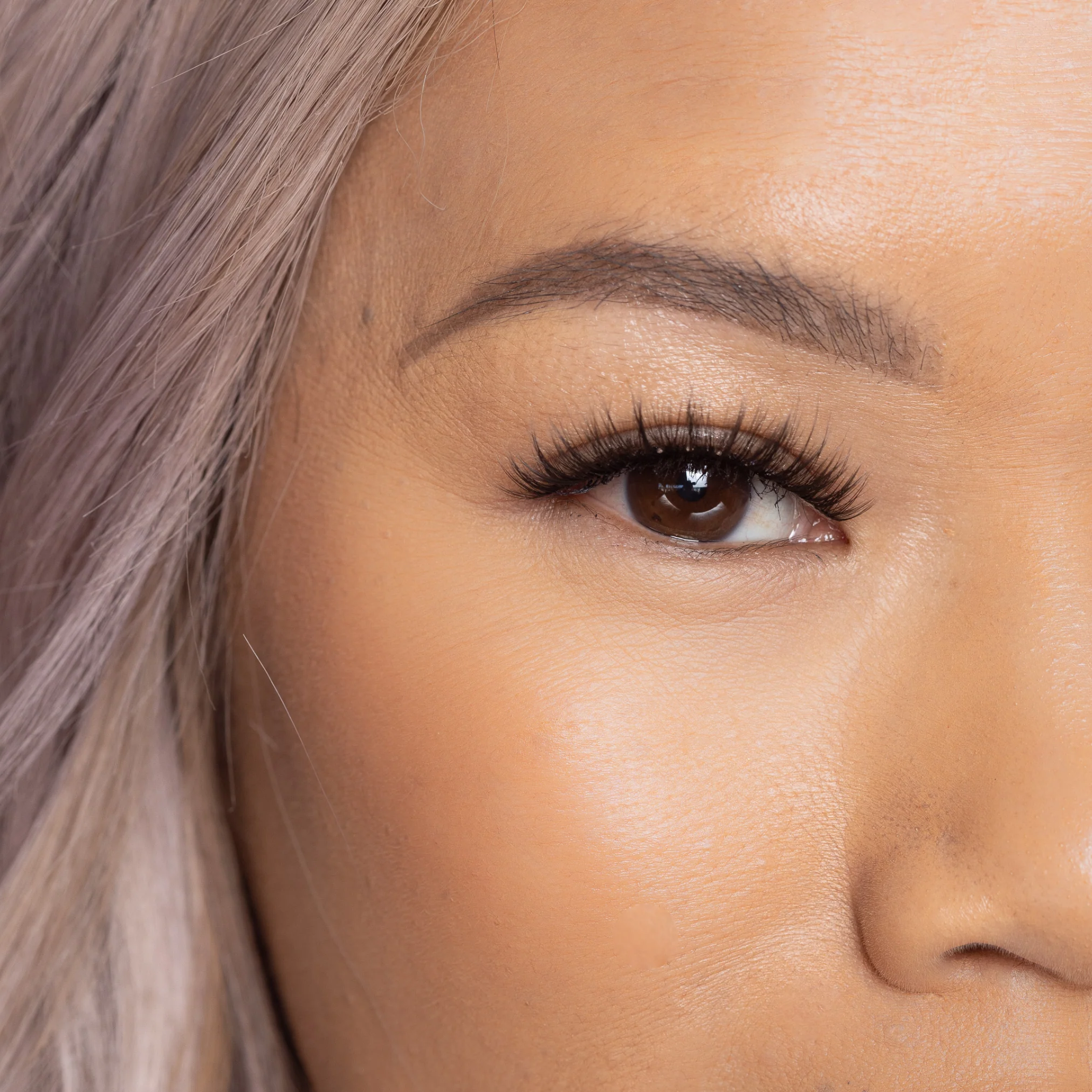 Addison Lash - Image 2
