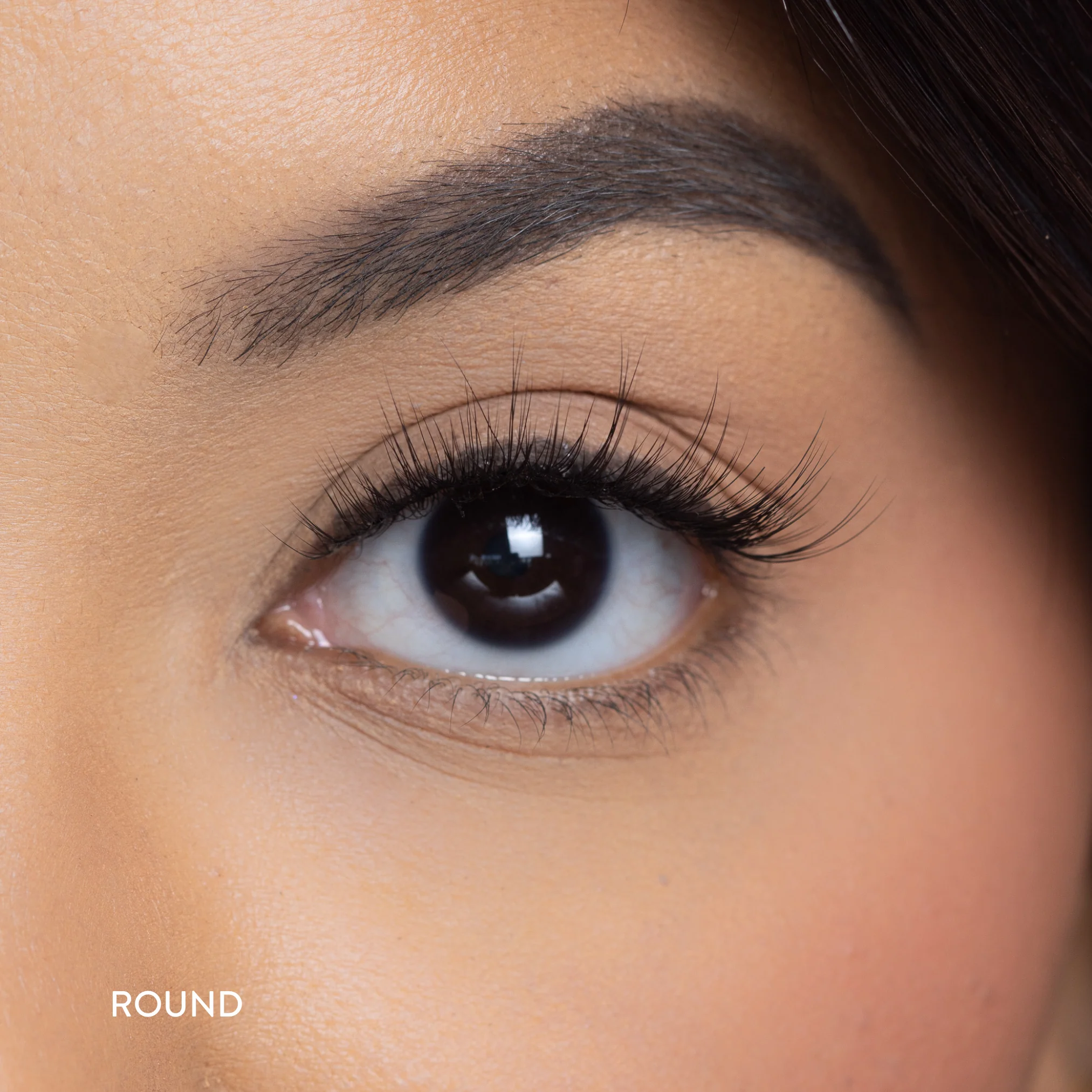 Maive Lash - Image 2