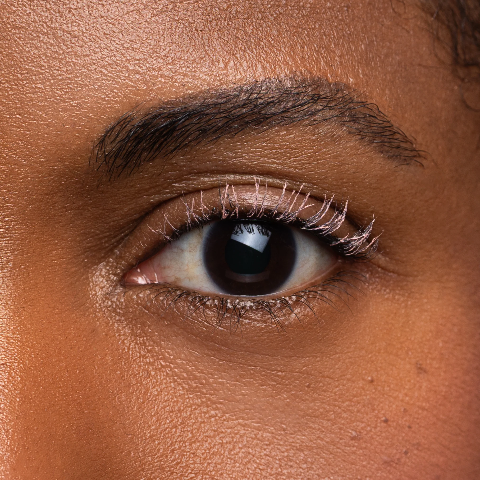 Prime & Define Dannie Lash Primer - Image 2